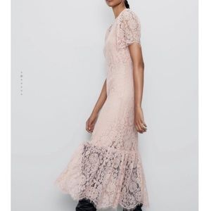Zara pink lace midi